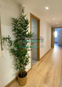 Piso reformado de 3 dormitorios en El Zaidín