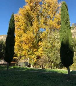 Finca turística de 10.000m en venta en Monachil