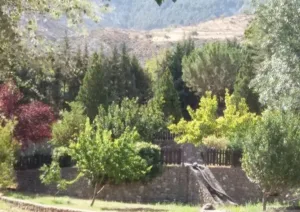 Finca turística de 10.000m en venta en Monachil