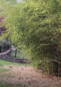 Finca turística de 10.000m en venta en Monachil