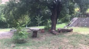 Finca turística de 10.000m en venta en Monachil