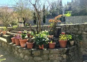 Finca turística de 10.000m en venta en Monachil