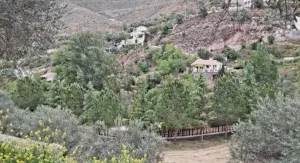 Finca turística de 10.000m en venta en Monachil